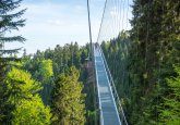 die-neue-wild-line-haengebruecke-tourismus-gmbh-noerdlicher-schwarzwald