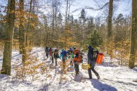 Eine Expedition zum ewigen Eis im Nördlichen Schwarzwald