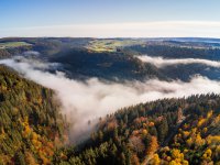 Natürlich erholen und regenerieren im Nördlichen Schwarzwald 