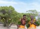 Tourism Fiji überabeitet globalen Markenauftritt