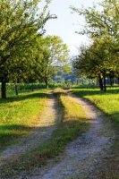 Apfelzeit in Prien am Chiemsee