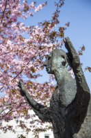 Mit Genuss in den Frühling in Prien am Chiemsee