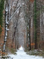 Winterwanderland Südpfalz