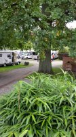 Camping-Vielfalt in Bayerisch-Schwaben