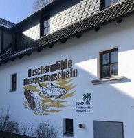 Flussperlmuscheln im Fichtelgebirge