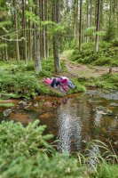 Die Kraftquelle Wald im Fichtelgebirge