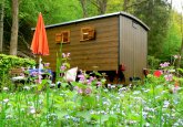 bienenwagen-wildberg-tourismus-gmbh-noerdlicher-schwarzwald