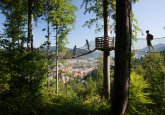 baumkronenweg-elztal-simonswaeldertal-tourismus-gmbh-cokg