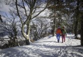 premium-winterwanderweg-wintertraufgang-albstadt-tourismus