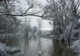 treidlerweg_winter-c-suedpfalz-tourismus-vg-ruelzheim-gerhard-heil