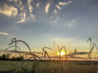 Bayerisch-Schwaben kulinarisch