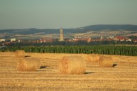 Bayerisch-Schwaben kulinarisch