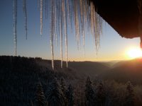  Wintererlebniswelt Nordschwarzwald