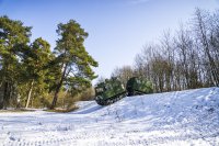 Eine Expedition zum ewigen Eis im Nördlichen Schwarzwald