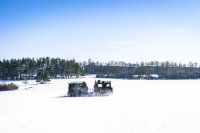 Eine Expedition zum ewigen Eis im Nördlichen Schwarzwald