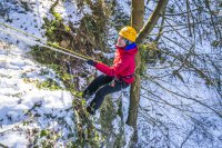 Eine Expedition zum ewigen Eis im Nördlichen Schwarzwald