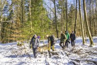 Eine Expedition zum ewigen Eis im Nördlichen Schwarzwald