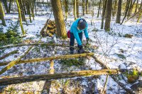 Eine Expedition zum ewigen Eis im Nördlichen Schwarzwald