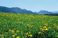 „Bühne frei“ für den kulturellen Frühling in Prien am Chiemsee