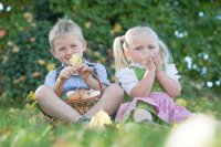 Prien am Chiemsee für kleine Naturentdecker