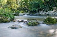 Prien am Chiemsee für kleine Naturentdecker