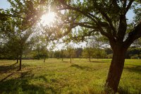 Auf zwei Rädern durchs Erntejahr der Südpfalz