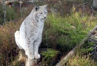 Erlebnis-Naturpädagogik im Fichtelgebirge