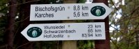 "Schmutzfink", "Angsthase" und "Wetterfrosch"