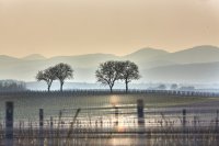 Nächster Stopp: Die herbstliche Südpfalz 