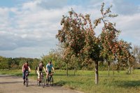 Nächster Stopp: Die herbstliche Südpfalz 