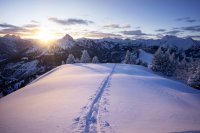 Kässpatz´n im Schnee, Gipfellichter und Allgäuer Hüttenzauber