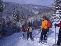 Es geht aktiv durch verschneite Winterlandschaften