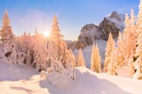 Abenteuerliche Winternächte in Pfronten