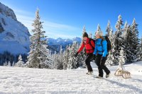 Tiefschnee-Erlebnisse auf dem ersten Pfrontener Schneeschuhfestival