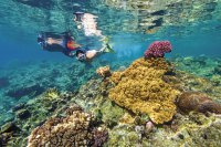Nachhaltiger Meeresschutz im Urlaub