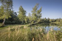 Sommerliche Tourentipps für Bayerisch-Schwaben 