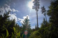 Entspannt wandern im Nördlichen Schwarzwald