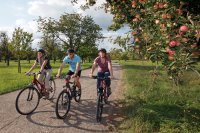 Die sommerliche Weltreise durch die Südpfalz 