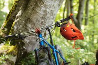 Lastfreier Lenker – oder wie ich an einem Tag das Mountainbiken lernte!