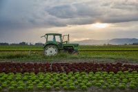 Grenzüberschreitend radeln, bunt wandern und Wild essen