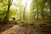 Grenzüberschreitend radeln, bunt wandern und Wild essen