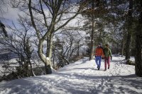 Zehn alternative Tipps für Winteraktivitäten abseits des Massentourismus