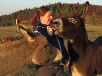 10+1 Jahre Wandergenuss in Albstadt