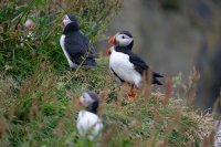 Jubiläumsreise Island – Katla Travel feiert 25. Geburtstag