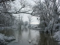 Winterwanderland Südpfalz