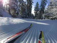 Geheimtipp: Winter im Fichtelgebirge