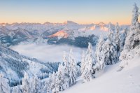 Vom Tal bis zum Gipfel: auf Schneeschuhen durch Pfronten im Allgäu