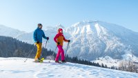 Vom Tal bis zum Gipfel: auf Schneeschuhen durch Pfronten im Allgäu