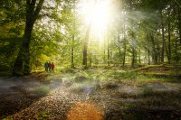 Zwei neue Qualitätswege für die Südpfalz