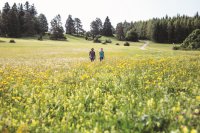 Albstadt blüht wieder auf